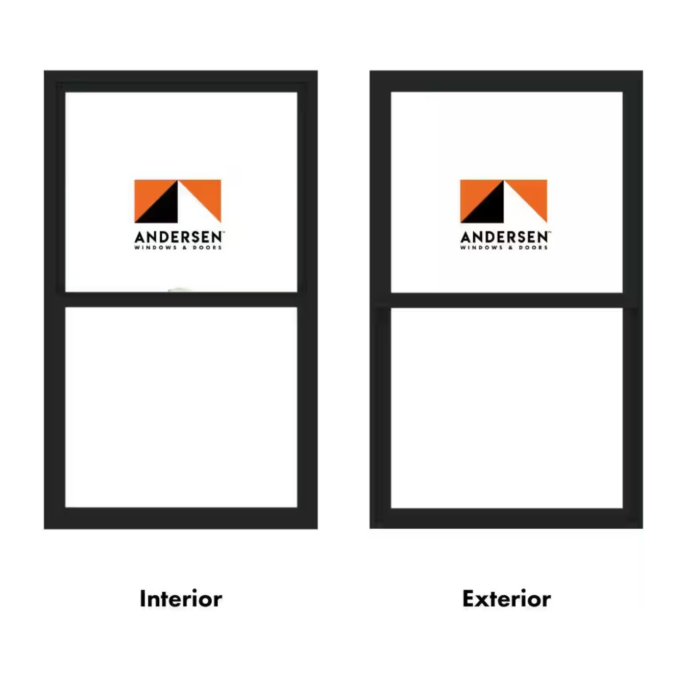 35-1/2 in. x 59-1/2 in. 100 Series Black Single-Hung Composite Window with Black Int, SmartSun Glass and Black Hardware